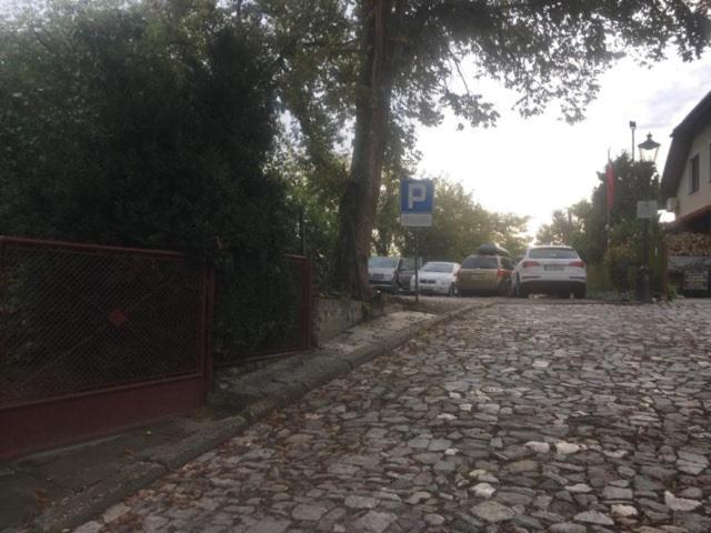 Zielone Wzgorze Na Starowce Appartement Sandomierz Buitenkant foto