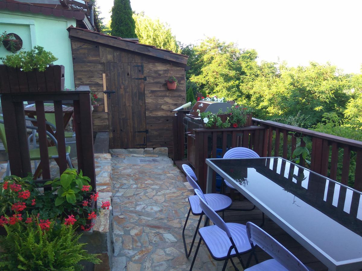 Zielone Wzgorze Na Starowce Appartement Sandomierz Buitenkant foto